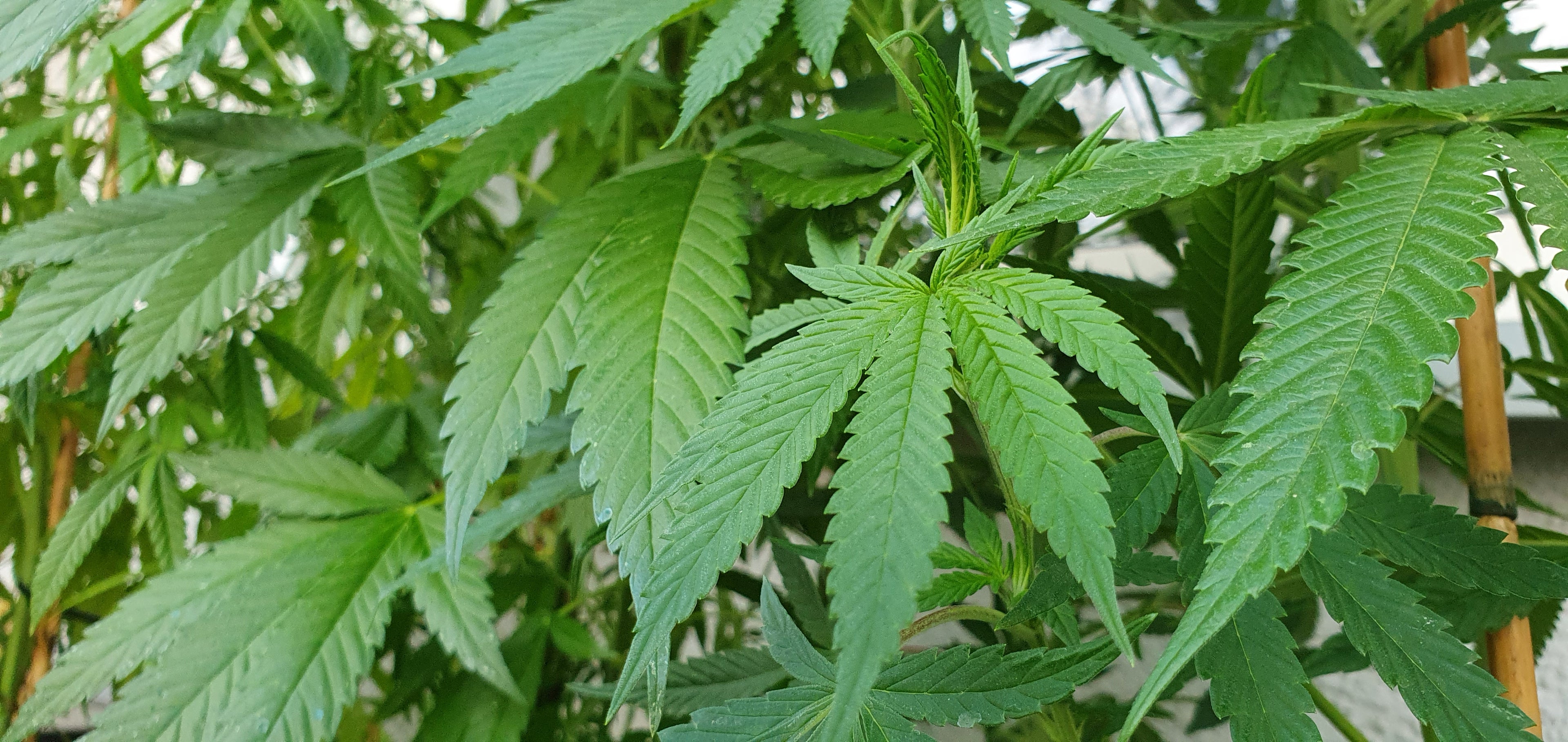 bgimage.jpg__PID:da751460-c7ec-4336-a113-5733d5a7ac01